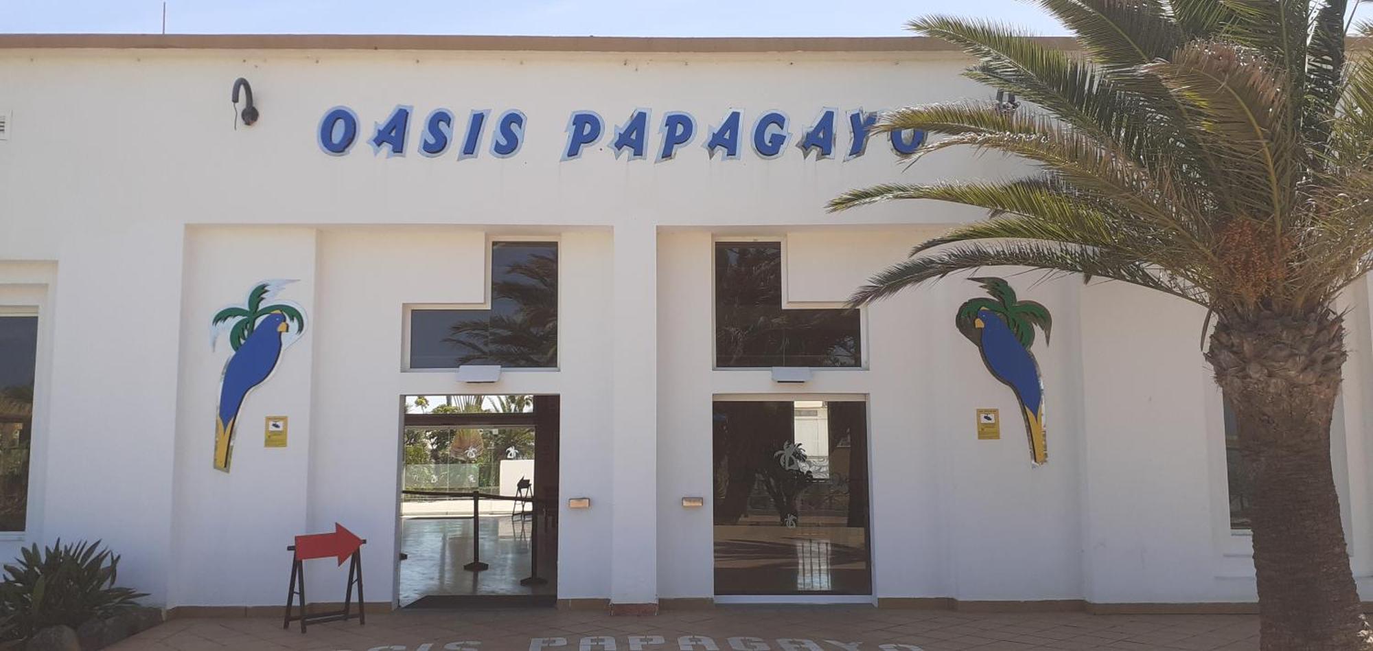 Oasis Waves House Papagayo Apartment คอร์ราเลโฮ ภายนอก รูปภาพ